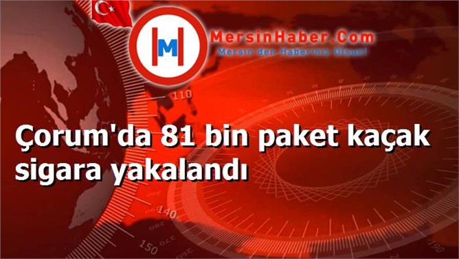 Çorum'da 81 bin paket kaçak sigara yakalandı