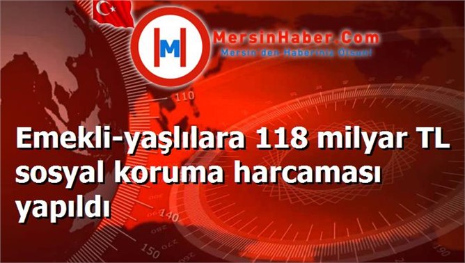 Emekli-yaşlılara 118 milyar TL sosyal koruma harcaması yapıldı