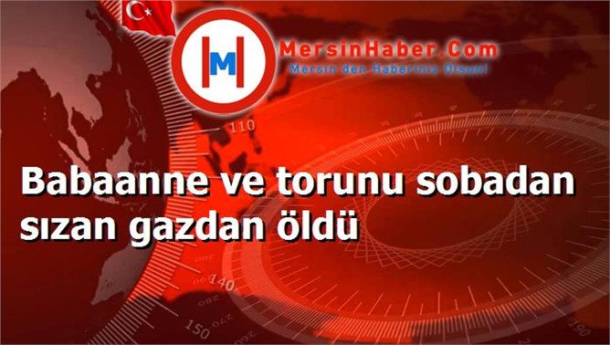 Babaanne ve torunu sobadan sızan gazdan öldü