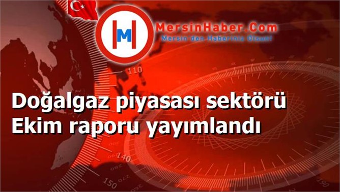 Doğalgaz piyasası sektörü Ekim raporu yayımlandı