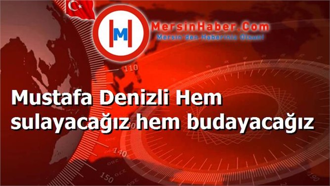 Mustafa Denizli Hem sulayacağız hem budayacağız