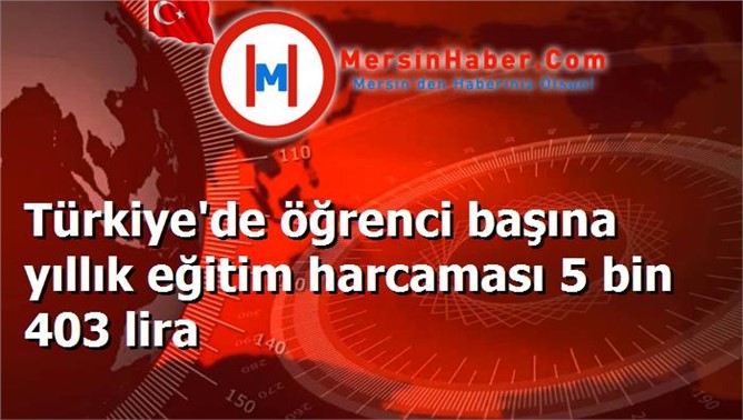 Türkiye'de öğrenci başına yıllık eğitim harcaması 5 bin 403 lira