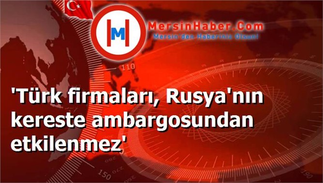 'Türk firmaları, Rusya'nın kereste ambargosundan etkilenmez'