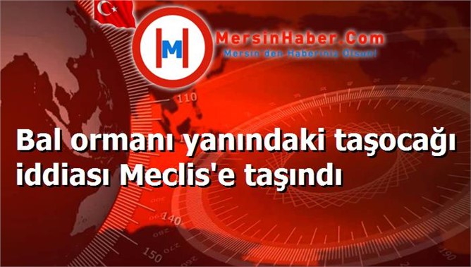 Bal ormanı yanındaki taşocağı iddiası Meclis'e taşındı