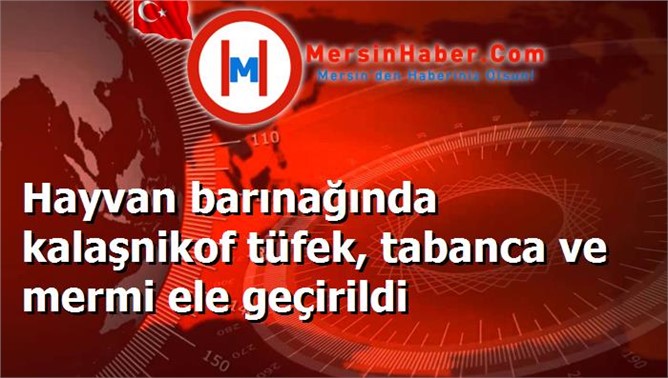 Hayvan barınağında kalaşnikof tüfek, tabanca ve mermi ele geçirildi