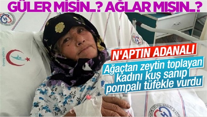 Adana'da Zeytin Toplayan Kadını Kuş Sanıp Vurdular