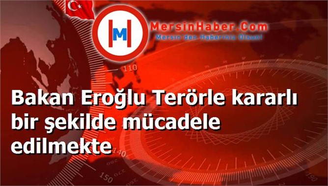 Bakan Eroğlu Terörle kararlı bir şekilde mücadele edilmekte