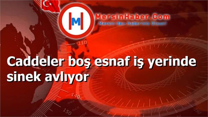 Caddeler boş esnaf iş yerinde sinek avlıyor