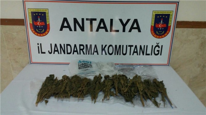 Araçtan atılan poşetten 1,5 kilogram kubar esrar çıktı