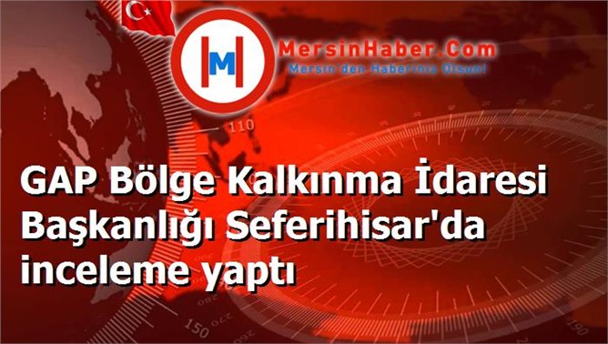 GAP Bölge Kalkınma İdaresi Başkanlığı Seferihisar'da inceleme yaptı