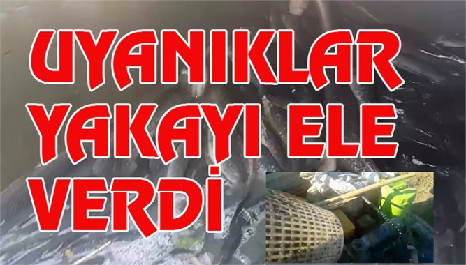 Mersin'de Kanalın Suyunu Boşaltıp Balık Avlayan Uyanıklar Yakalandı