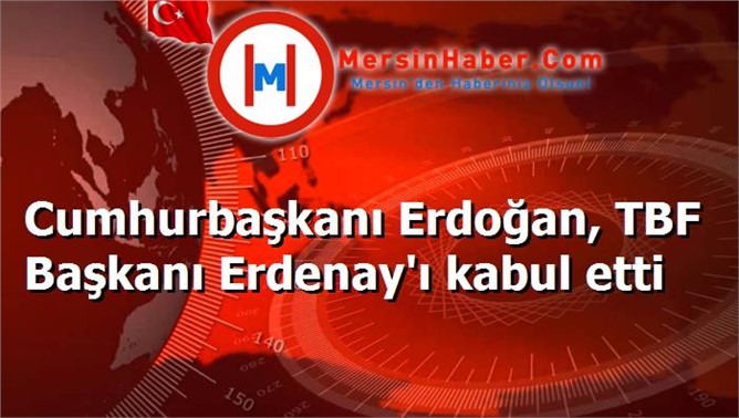 Cumhurbaşkanı Erdoğan, TBF Başkanı Erdenay'ı kabul etti