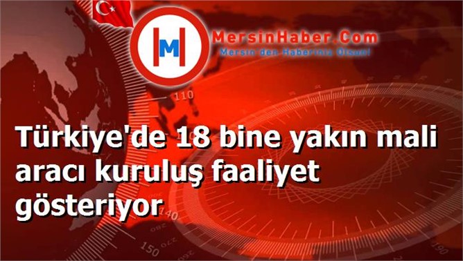 Türkiye'de 18 bine yakın mali aracı kuruluş faaliyet gösteriyor