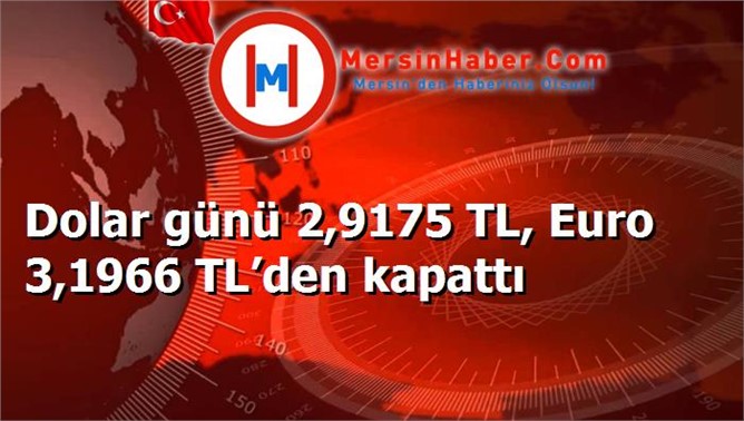 Dolar günü 2,9175 TL, Euro 3,1966 TL’den kapattı