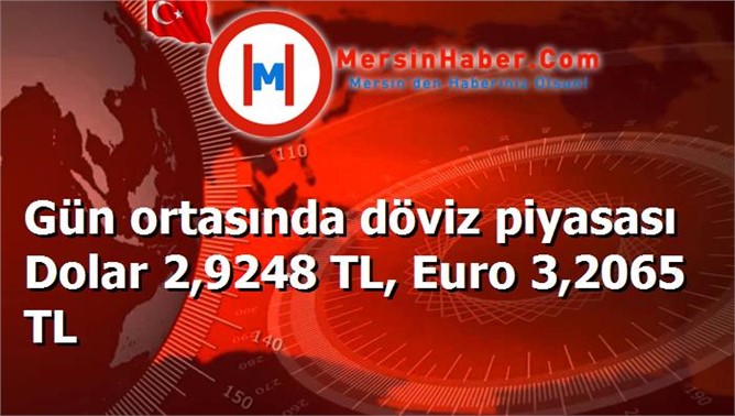 Gün ortasında döviz piyasası Dolar 2,9248 TL, Euro 3,2065 TL