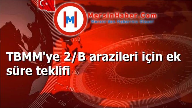 TBMM'ye 2/B arazileri için ek süre teklifi