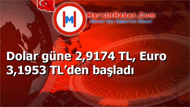 Dolar güne 2,9174 TL, Euro 3,1953 TL’den başladı