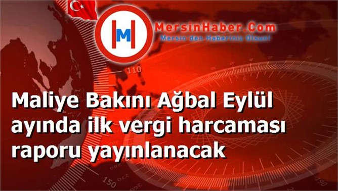 Maliye Bakını Ağbal Eylül ayında ilk vergi harcaması raporu yayınlanacak