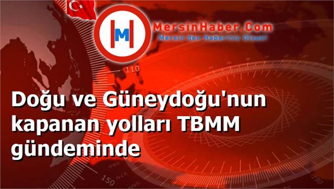 Doğu ve Güneydoğu'nun kapanan yolları TBMM gündeminde