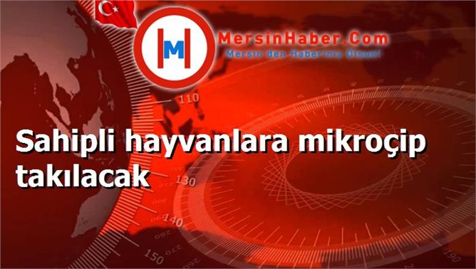 Sahipli hayvanlara mikroçip takılacak