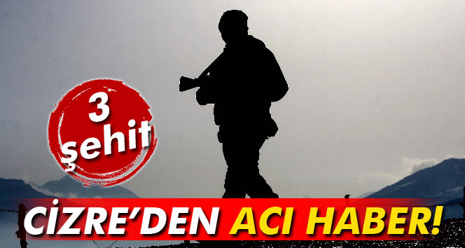 Cizre de Zırhlı Araç Geçisi Sırasında Patlama 3 Şehit