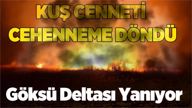 Kuş Cenneti Göksu Deltası  Sabah Kadar Yandı