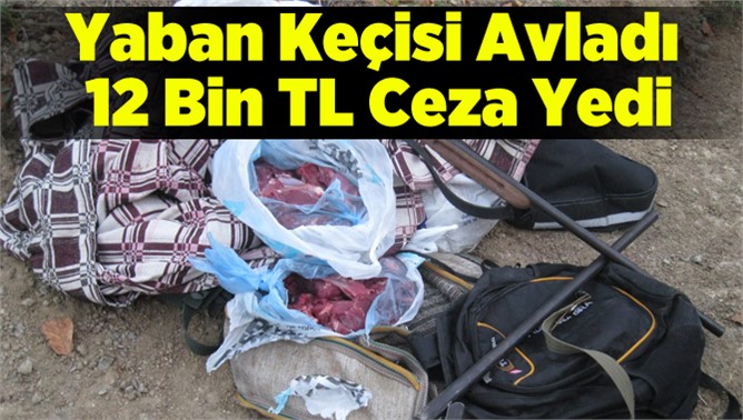 Yaban keçisi avlayana 12 bin TL ceza