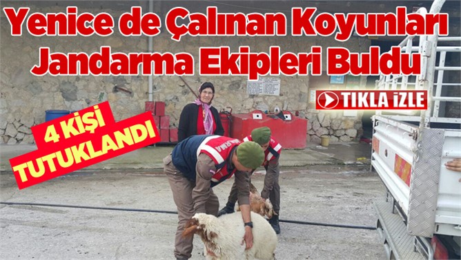 Yenice’de hayvan hırsızlığı yapan şüphelileri yakalandı 