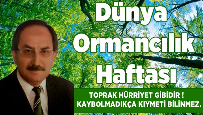 21 Mart Dünya Ormancılık Haftası