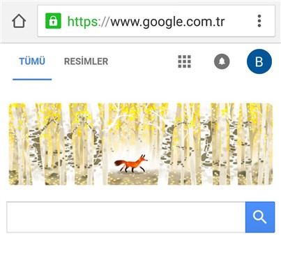 Google "Dünya Günü" İçin özel Doodleler Hazırladı