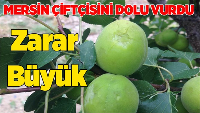 Mersin'de Dolu yağışı çiftçileri vurdu