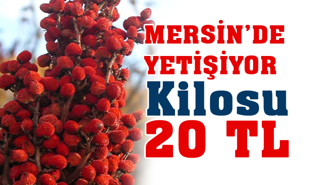 Mersin’in Silifkeliler Sumak Sayesinde Ek Gelir Sağlıyor