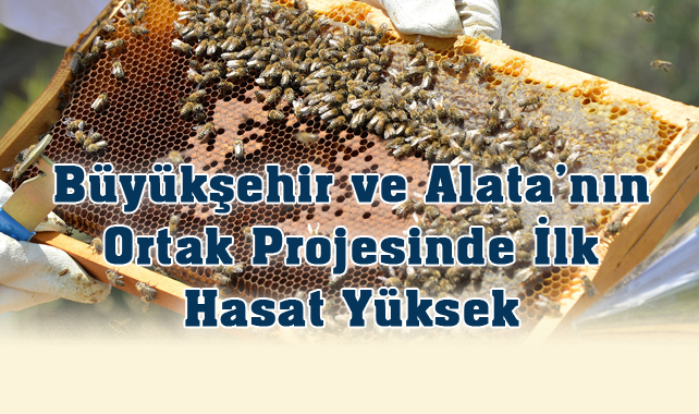 Mersin Büyükşehir ile Alata Bahçe Araştırma Ortak Bal Arısı Kovanı Projesi Başarısı