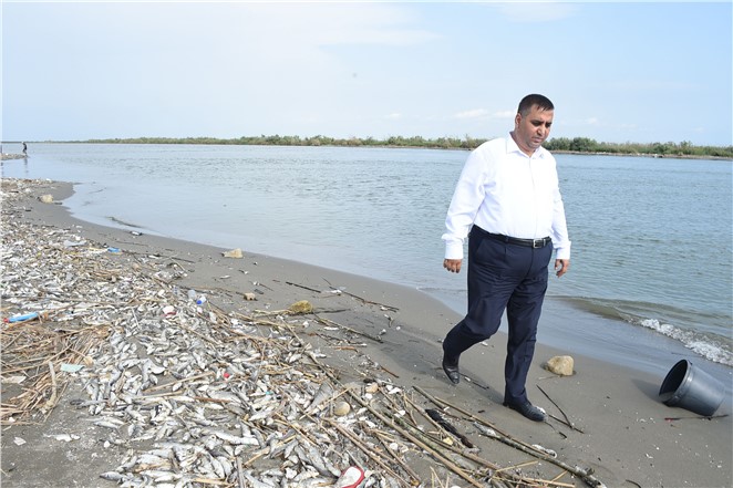 Başkan Can, Balık Ölümlerinin Yaşandığı Yerde İncelemelerde Bulundu