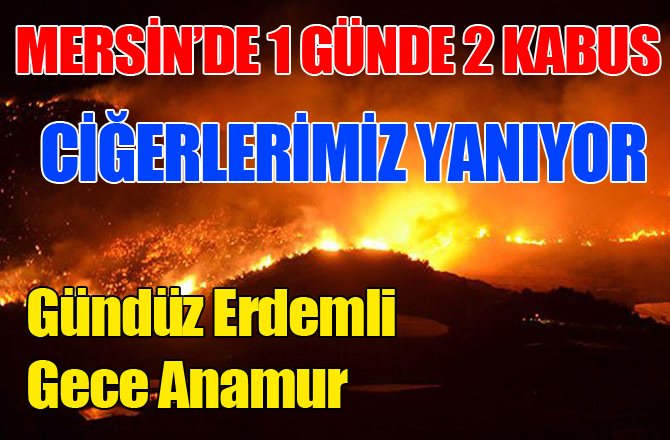 Anamur'da orman yangını