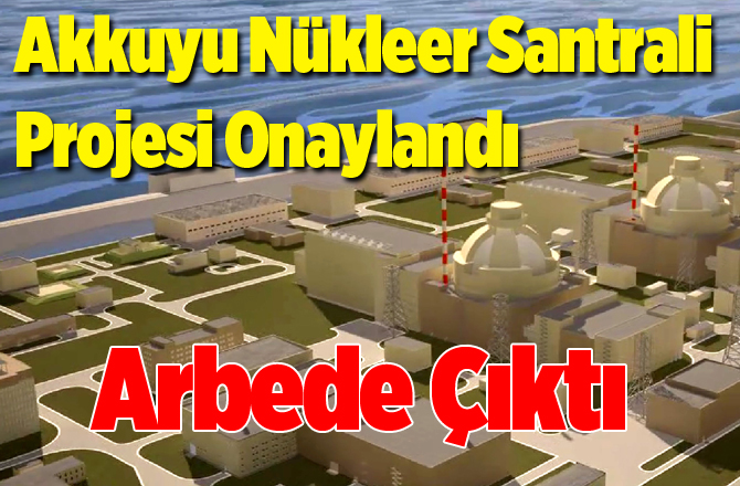 Akkuyu Nükleer Santrali Projesi Oy Çokluğuyla Onaylandı