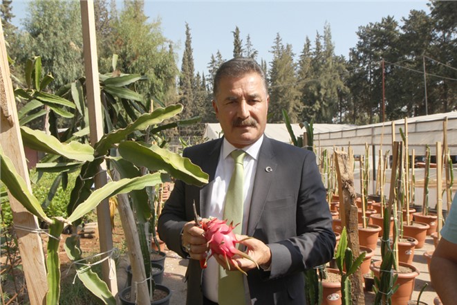 “Ejder Meyvesinin, Türk Pazarında Yerini Alması İçin Destek Vermeye Hazırız”