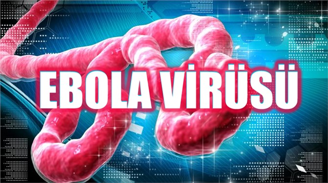 11 Bin Kişiyi Öldüren Ebola Virüsünden Korkutan Gelişme!