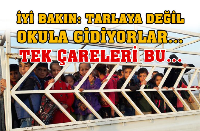 Tarsus'ta Milenyum Çağında İlkel Taşımacılık Bu Öğrencilerin Can Güvenliği Yok!