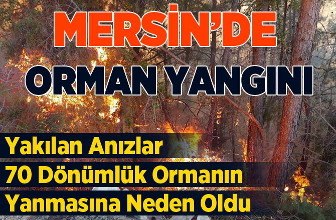 Mersin'de 70 Dönümlük Orman Kül Oldu