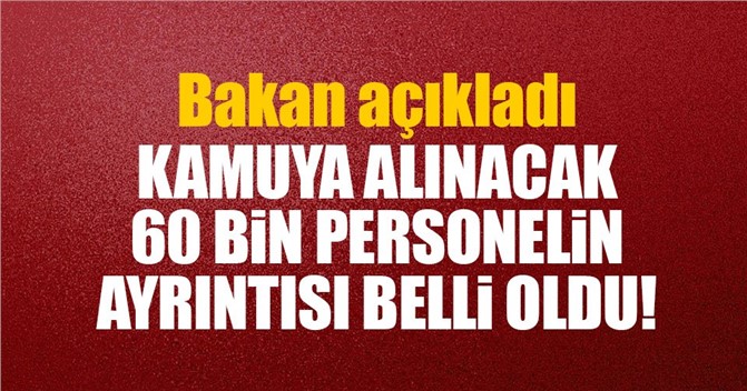 Kamuya alınacak 60 bin personelin dağılımı açıklandı