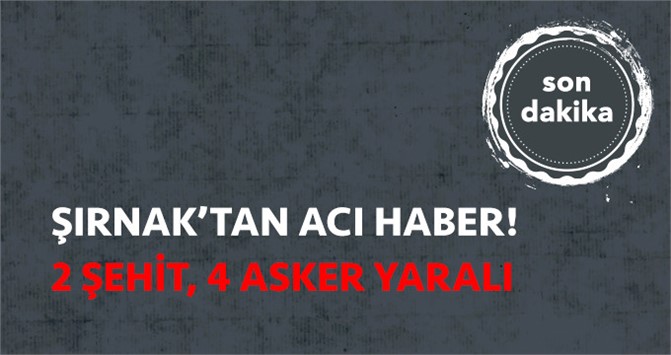 Son Dakika! Şırnak'ta Terör Operasyonu: 2 Asker Şehit