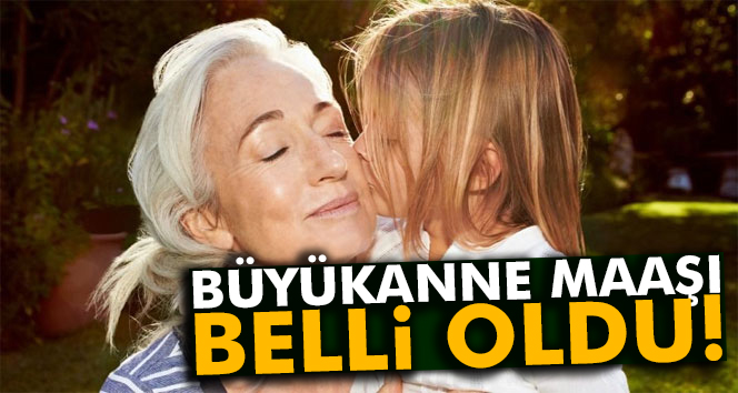 Toruna Bakan Büyükanneye Maaş Miktarı Belli Oldu. Peki Ne kadar Verilecek?