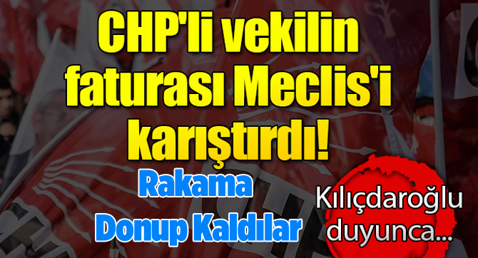 CHP'li vekilin faturası Meclis'i karıştırdı!