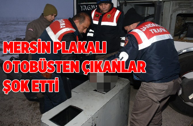 Mersin Plakalı Otobüsten Çıkanlar Şok Etti