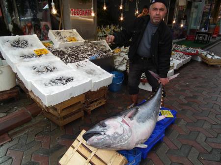 Mersin'de 2 Metre Boyunda Ton Balığı Yakalandı