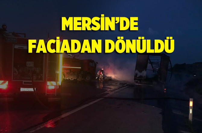 Mersin'de Ceviz Yüklü Tır, Otoyolda Kül Oldu