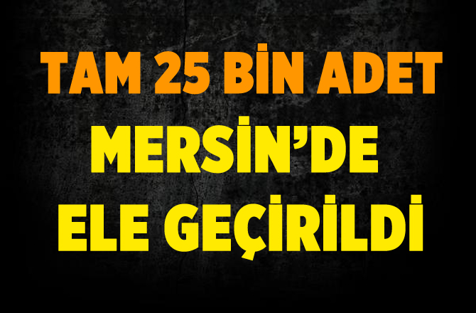 Mersin'de 25 Bin Captagon Hap Ele Geçirildi