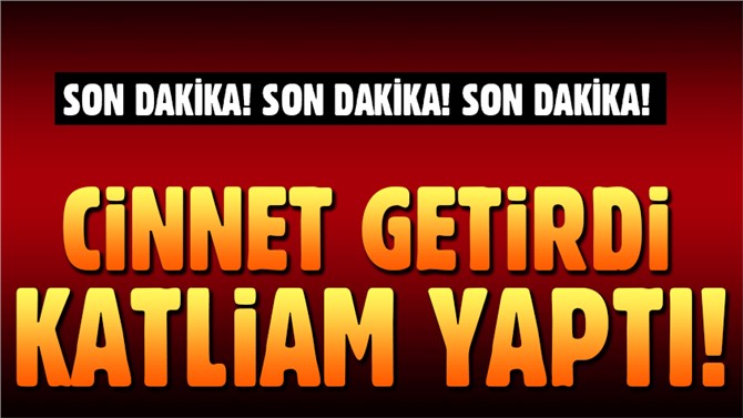 Cinnet Getiren Adama,Eşini, kayınpederini ve kayınvalidesini öldürdü!