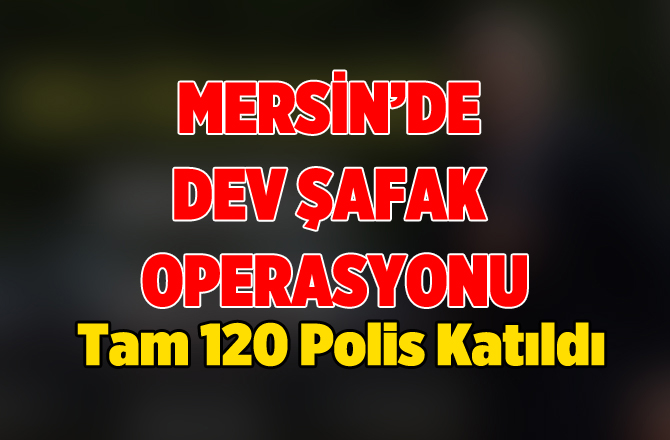 Mersin'deki Uyuşturucu Çetesine Dev Operasyon